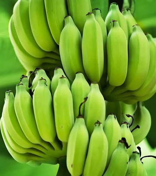 Bananass