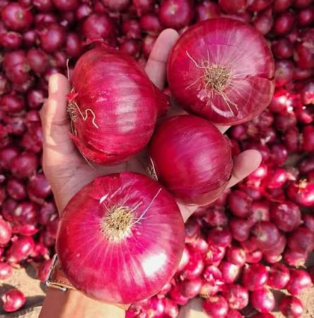 Onions